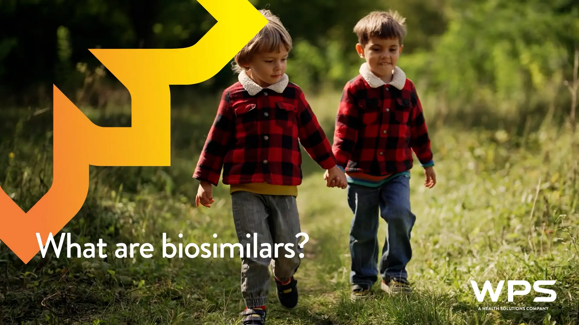 What are Biosimilars?
