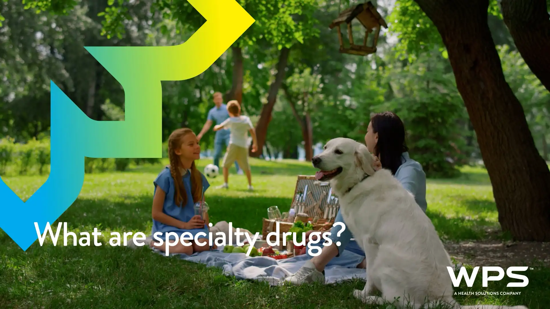 What are specialty drugs?