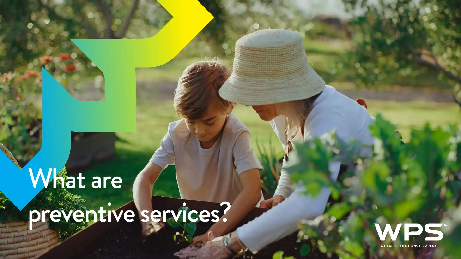 What are preventive services?