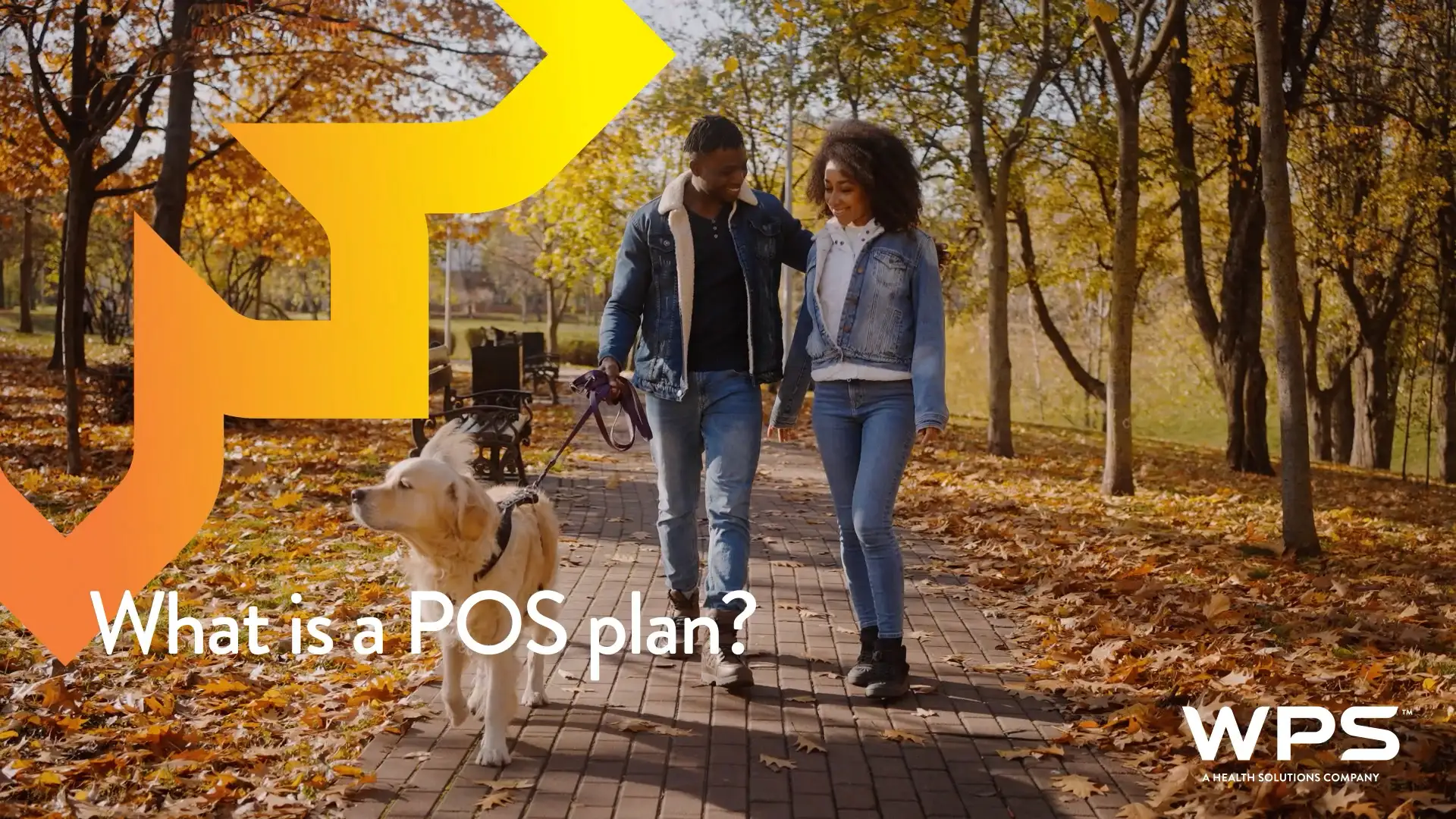 What is a POS plan?