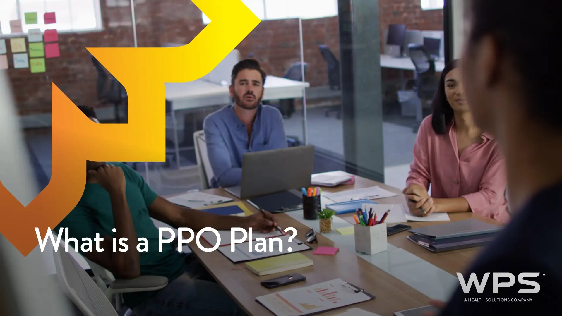 What is a PPO Plan?